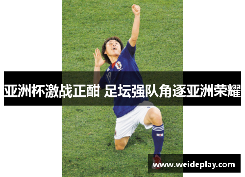 亚洲杯激战正酣 足坛强队角逐亚洲荣耀